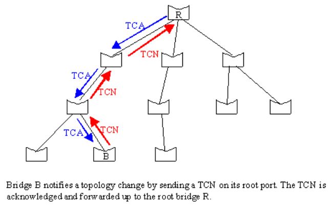 TCN process